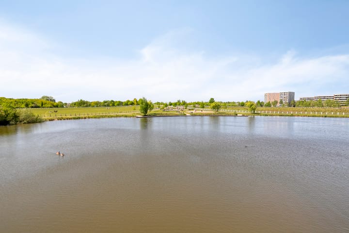 Foto 50 van Grasvogel 33