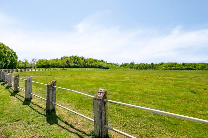 Foto 51 van Grasvogel 33