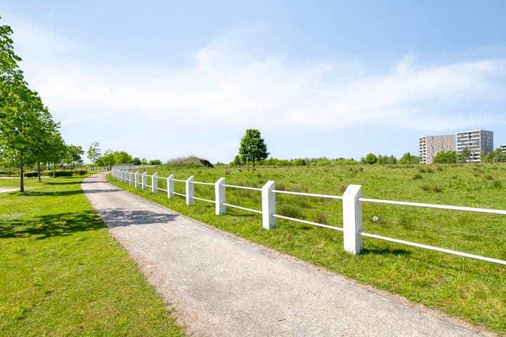 Foto 52 van Grasvogel 33