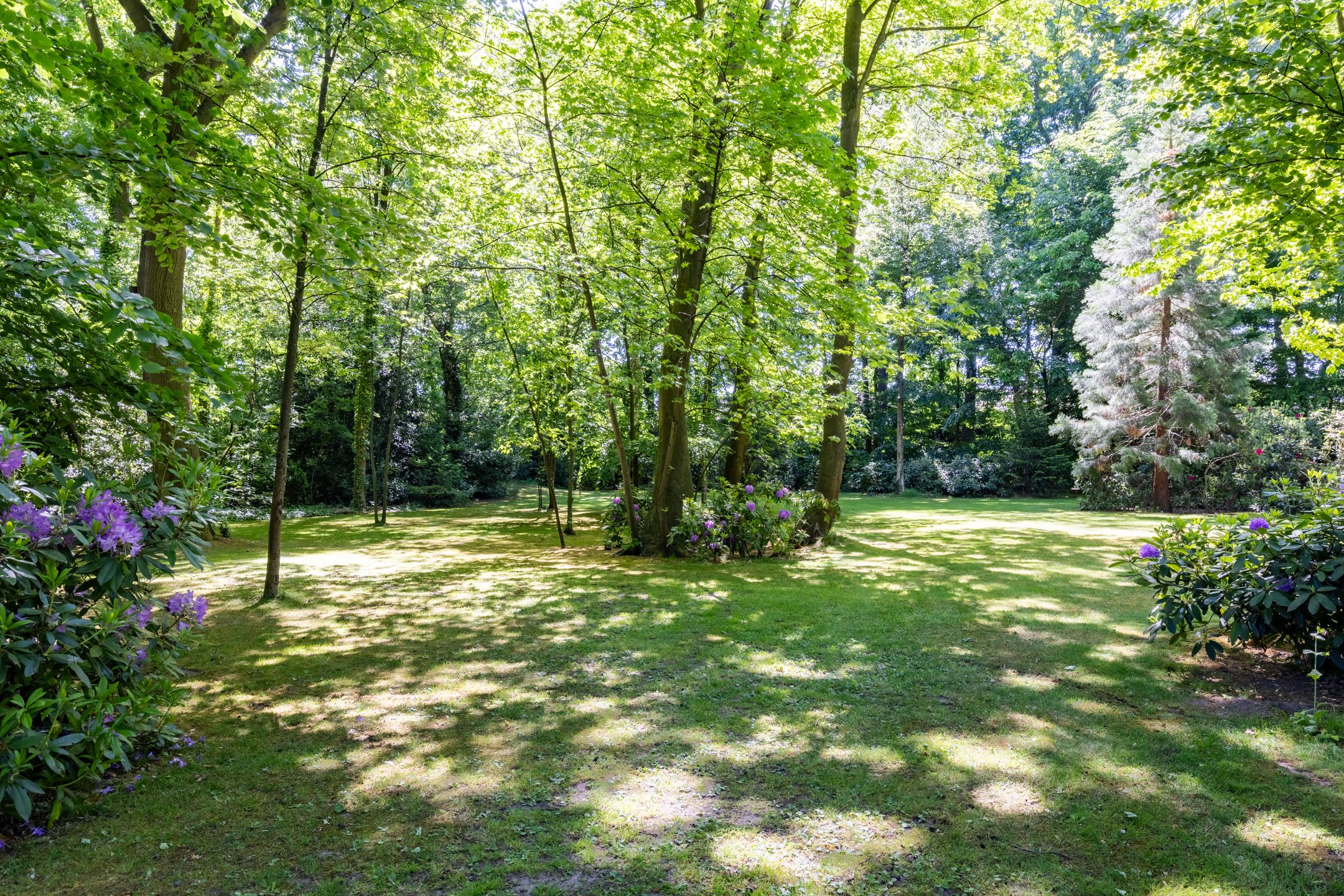 Foto 60 van Ruurloseweg 57