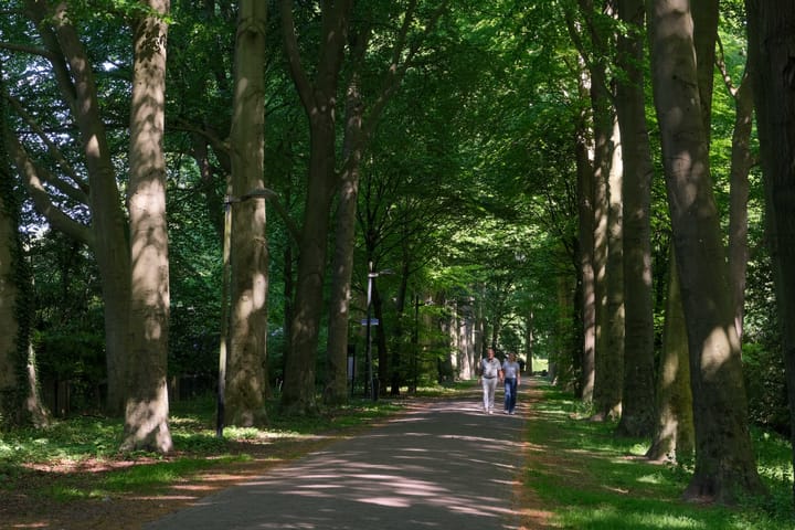 Foto 40 van Doelenstraat 21