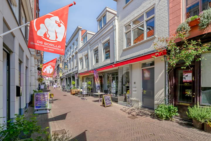 Foto 2 van Vriesestraat 16-A