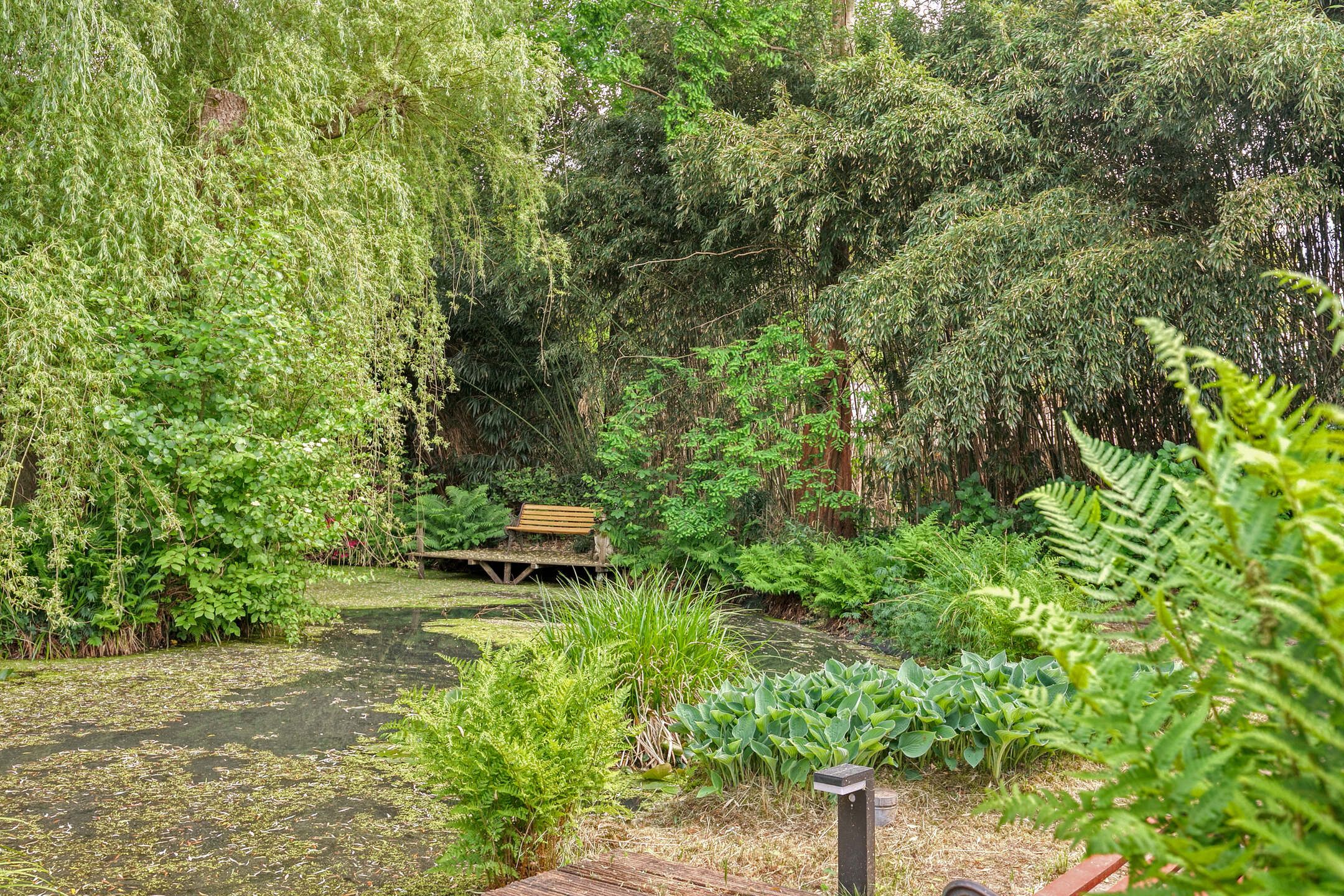 Foto 21 van Hunenborg 5