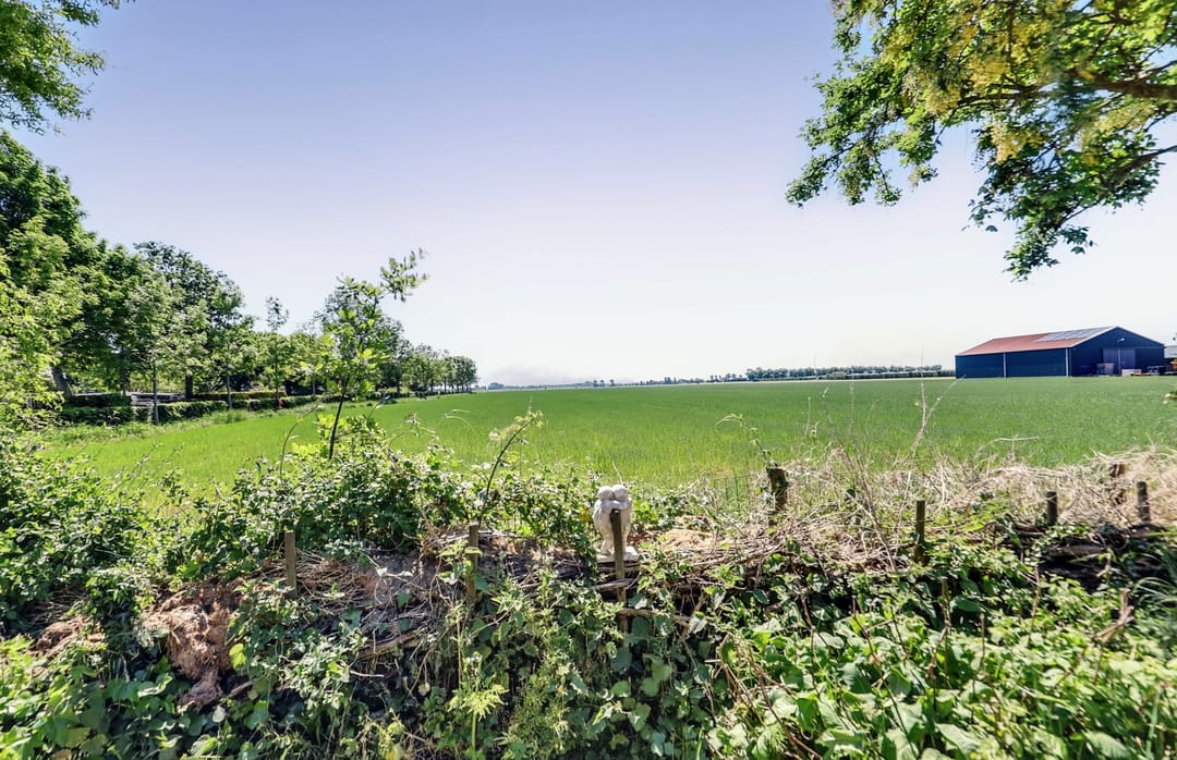 Foto 2 van Trambaan 5