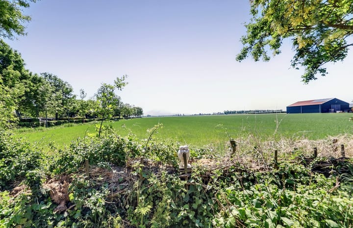 Foto 2 van Trambaan 5