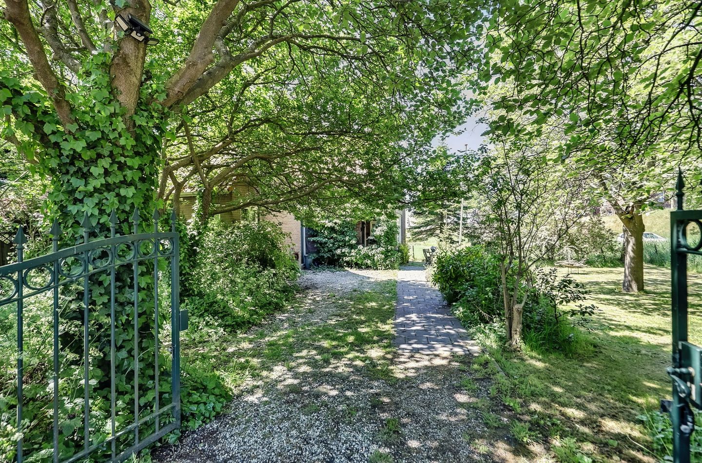 Foto 5 van Trambaan 5