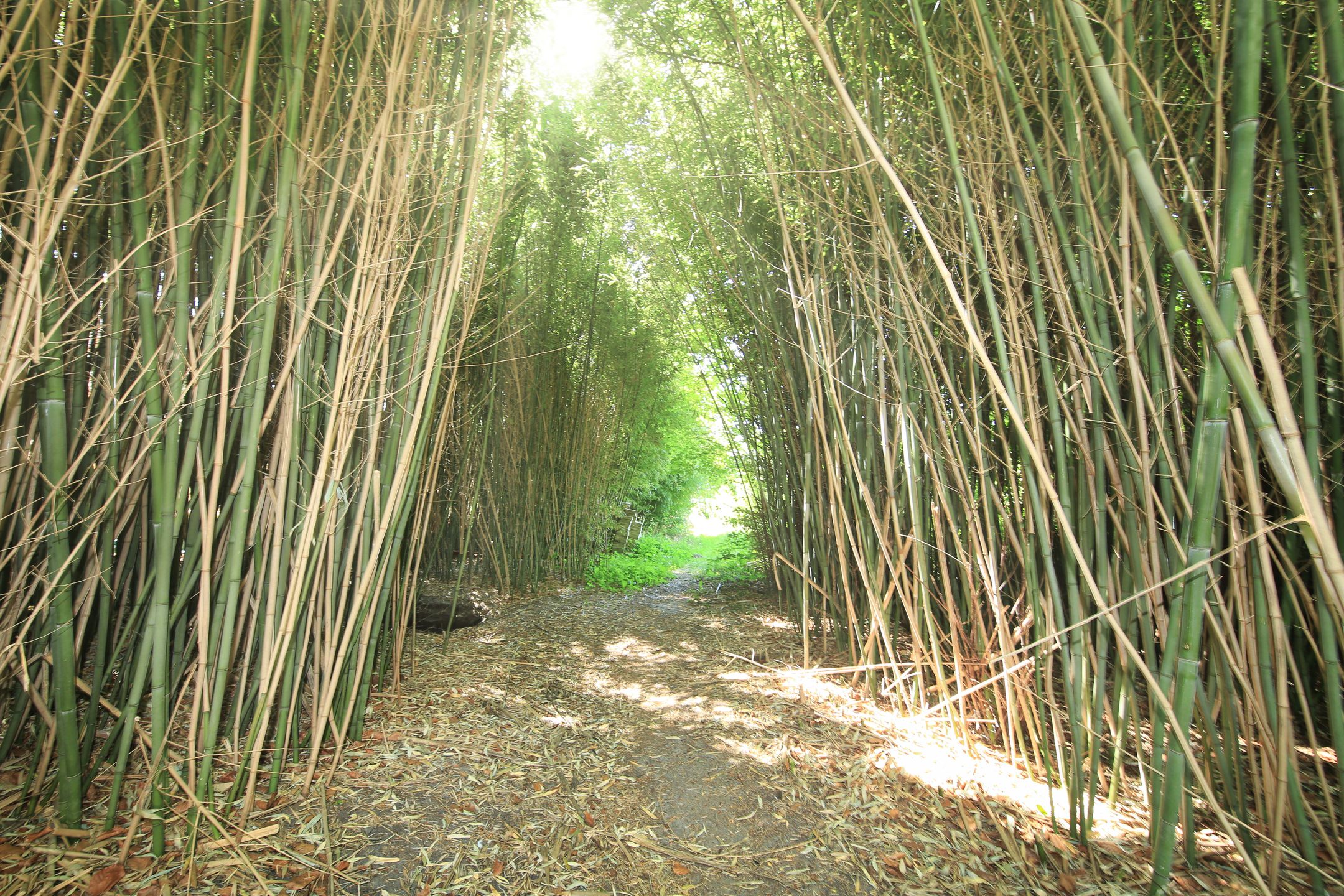 Foto 24 van Oude Kruisweg 72