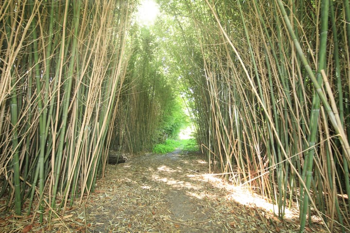 Foto 24 van Oude Kruisweg 72