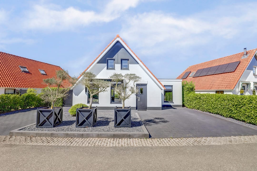 Photo 1 of Meerkoet 32