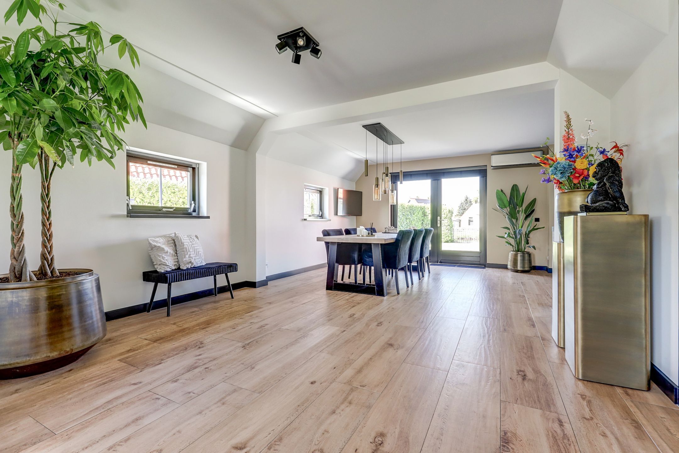 Photo 12 of Meerkoet 32