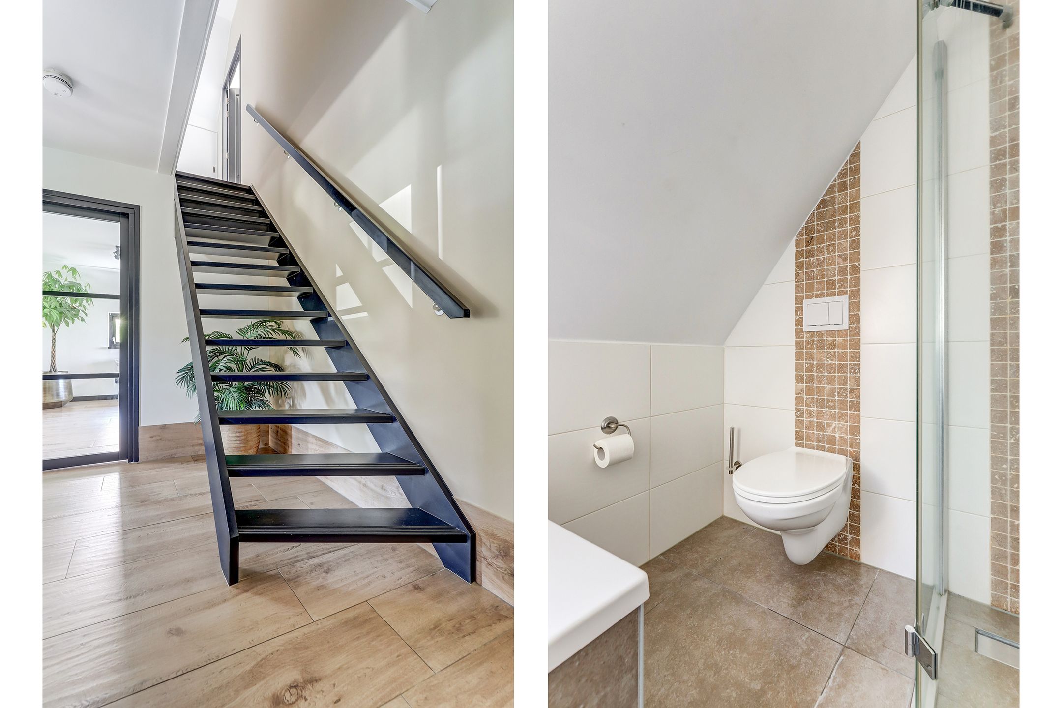 Photo 18 of Meerkoet 32