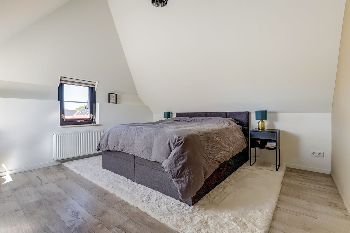 Photo 19 of Meerkoet 32