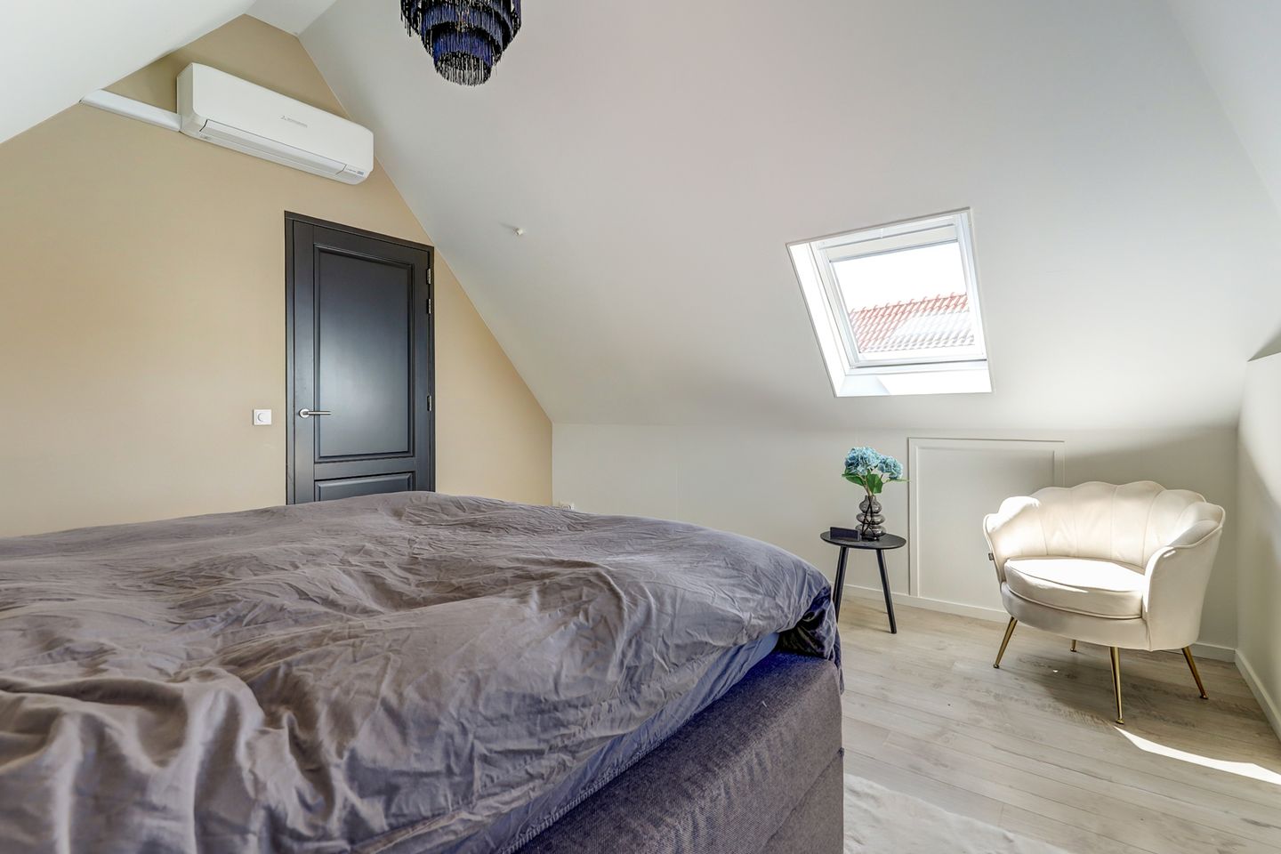 Photo 20 of Meerkoet 32