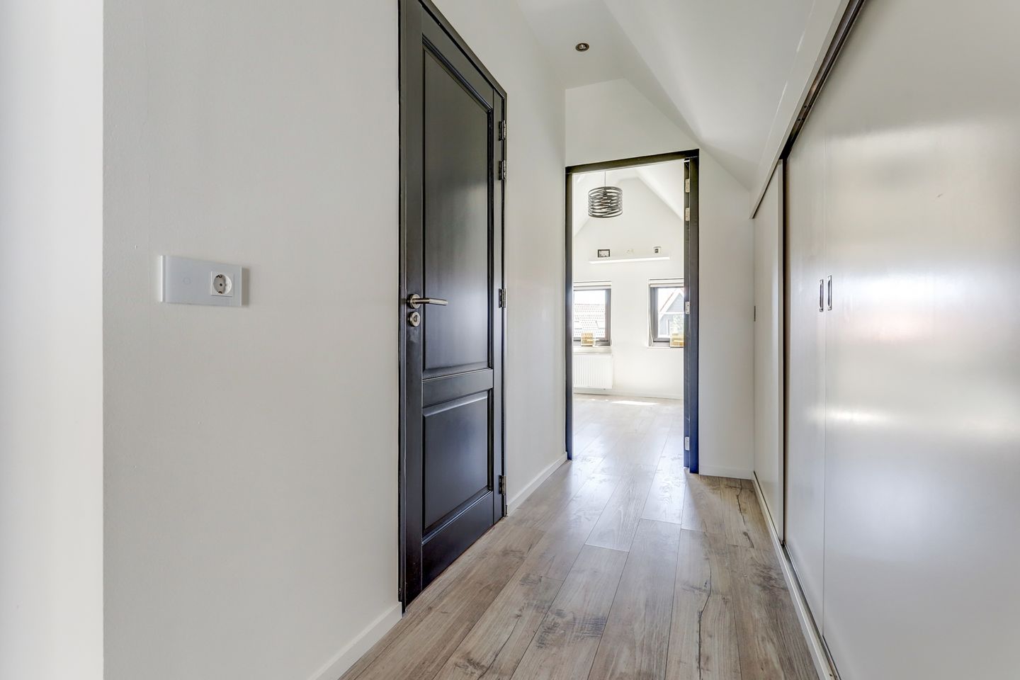 Photo 25 of Meerkoet 32