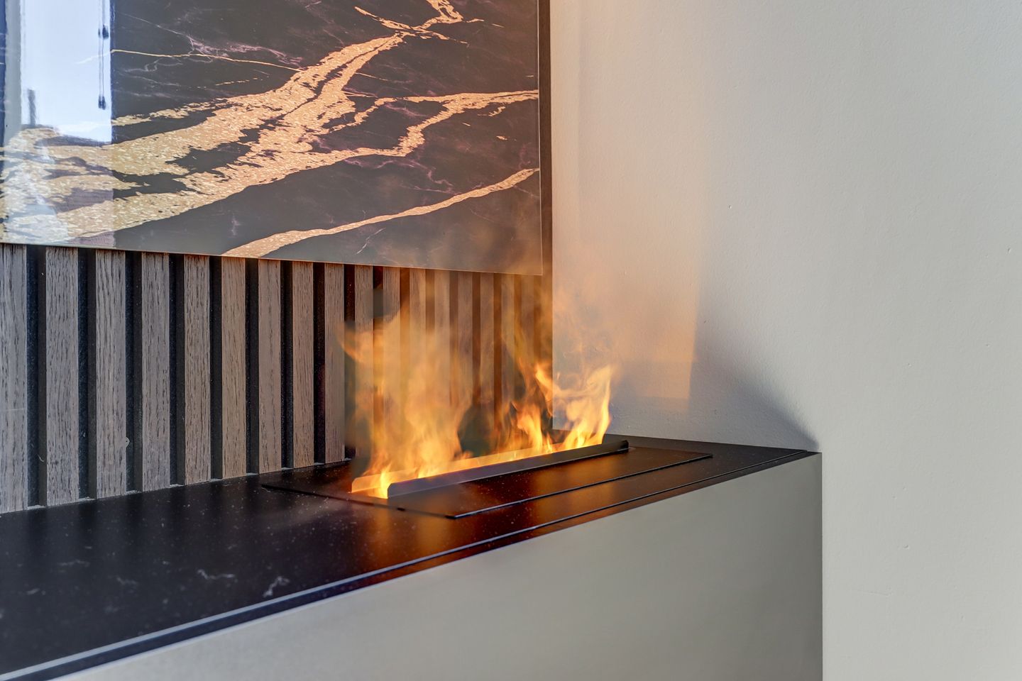 Photo 29 of Meerkoet 32