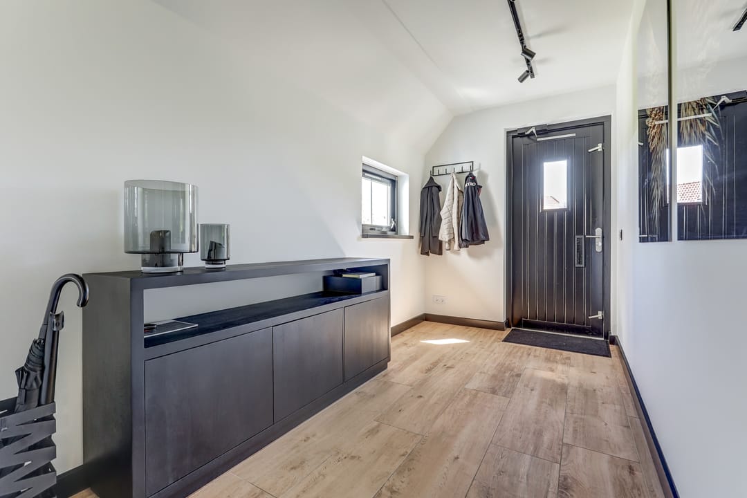 Photo 31 of Meerkoet 32