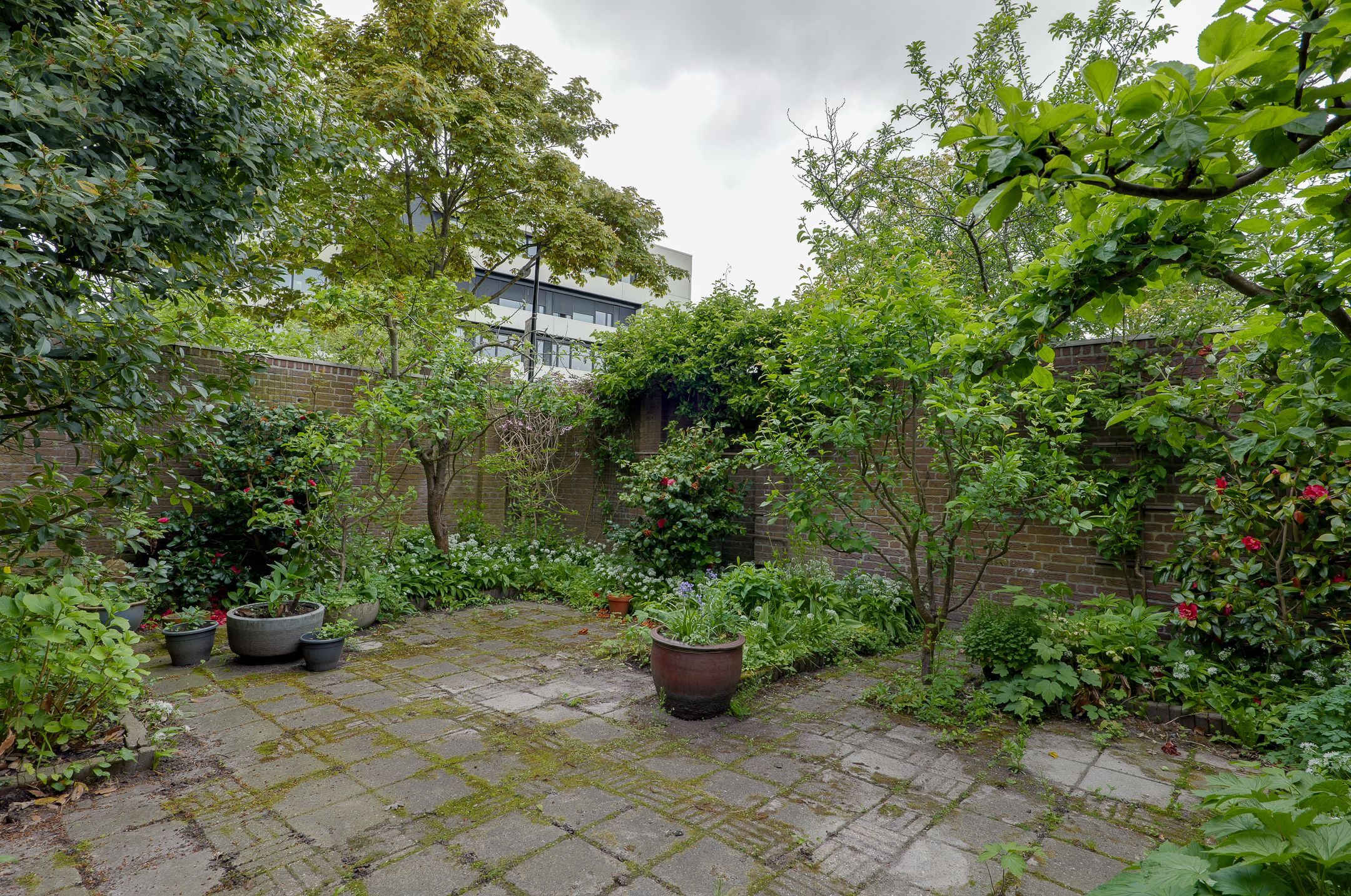 Foto 33 van Oranjestraat 11