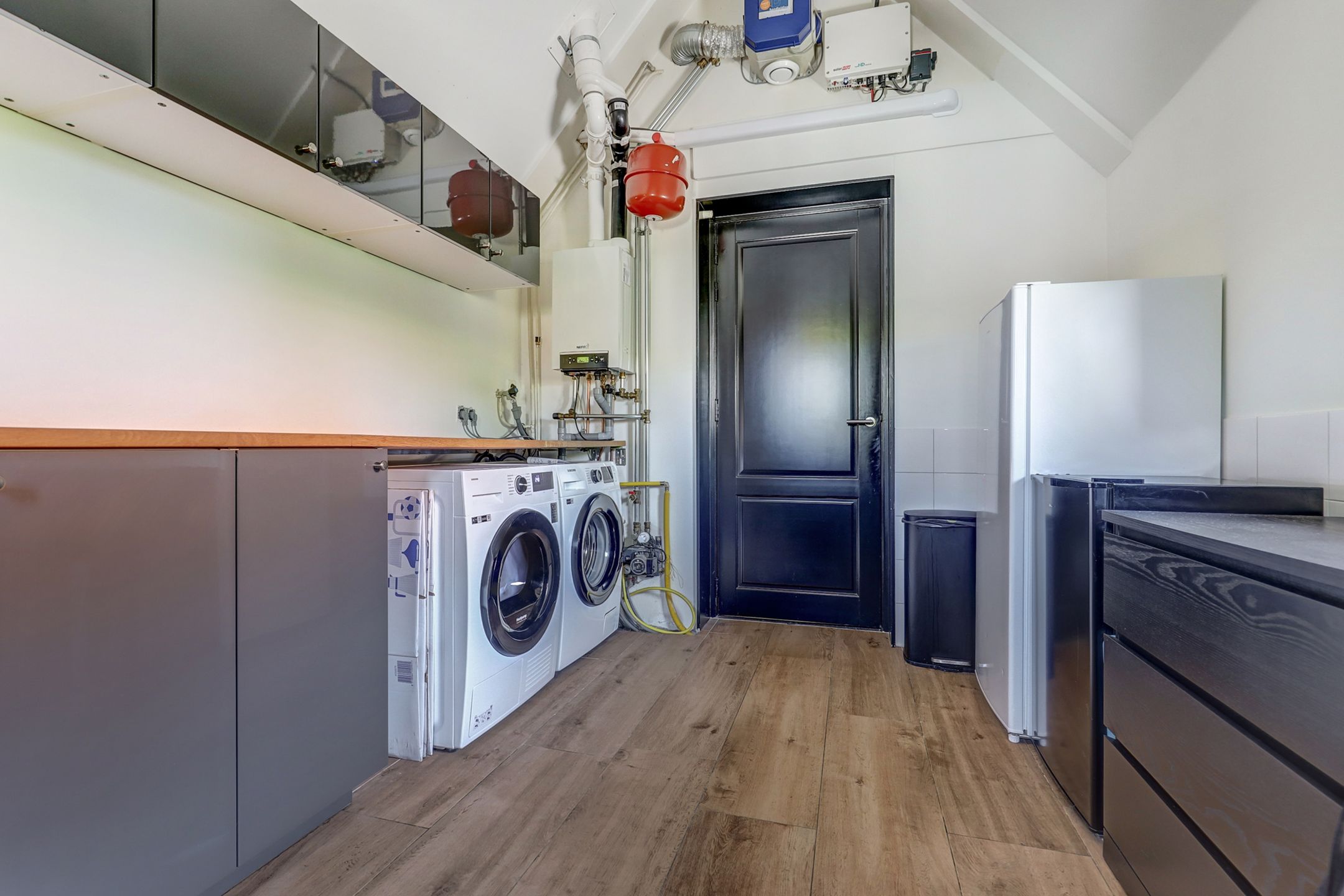 Photo 33 of Meerkoet 32