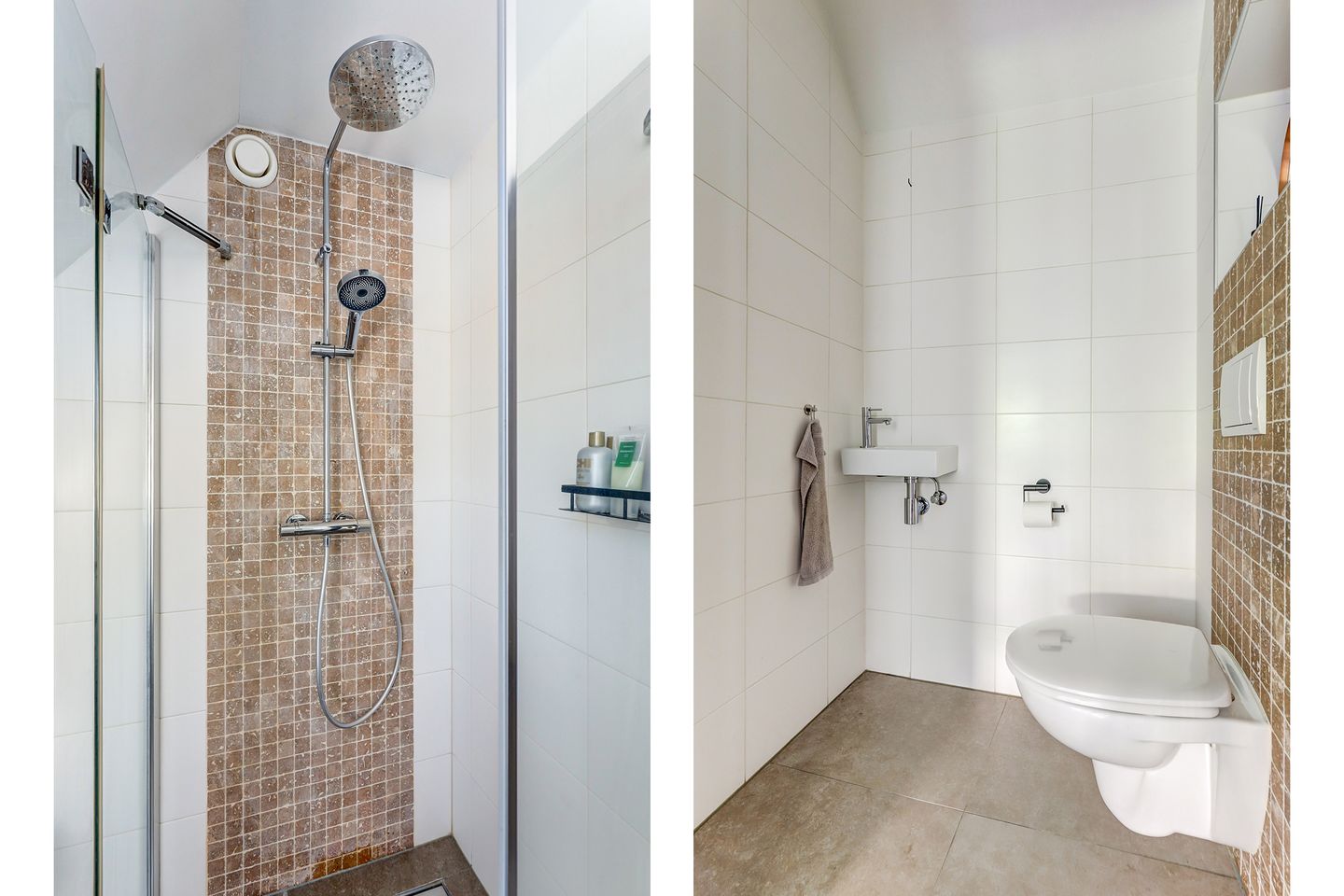 Photo 34 of Meerkoet 32