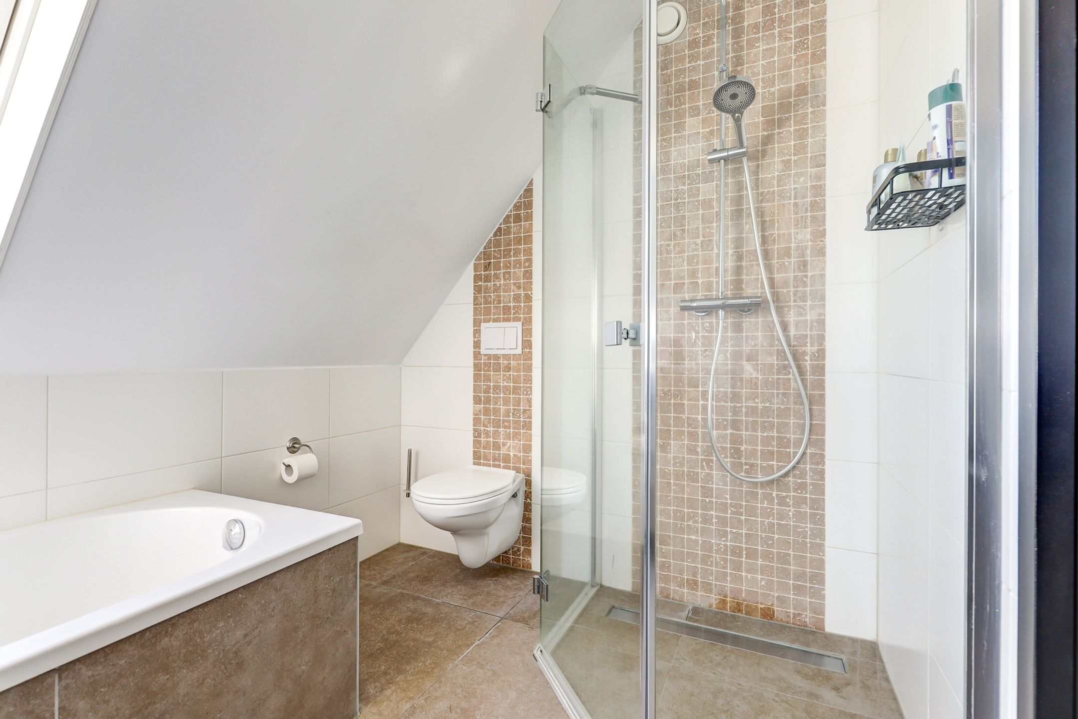 Photo 36 of Meerkoet 32