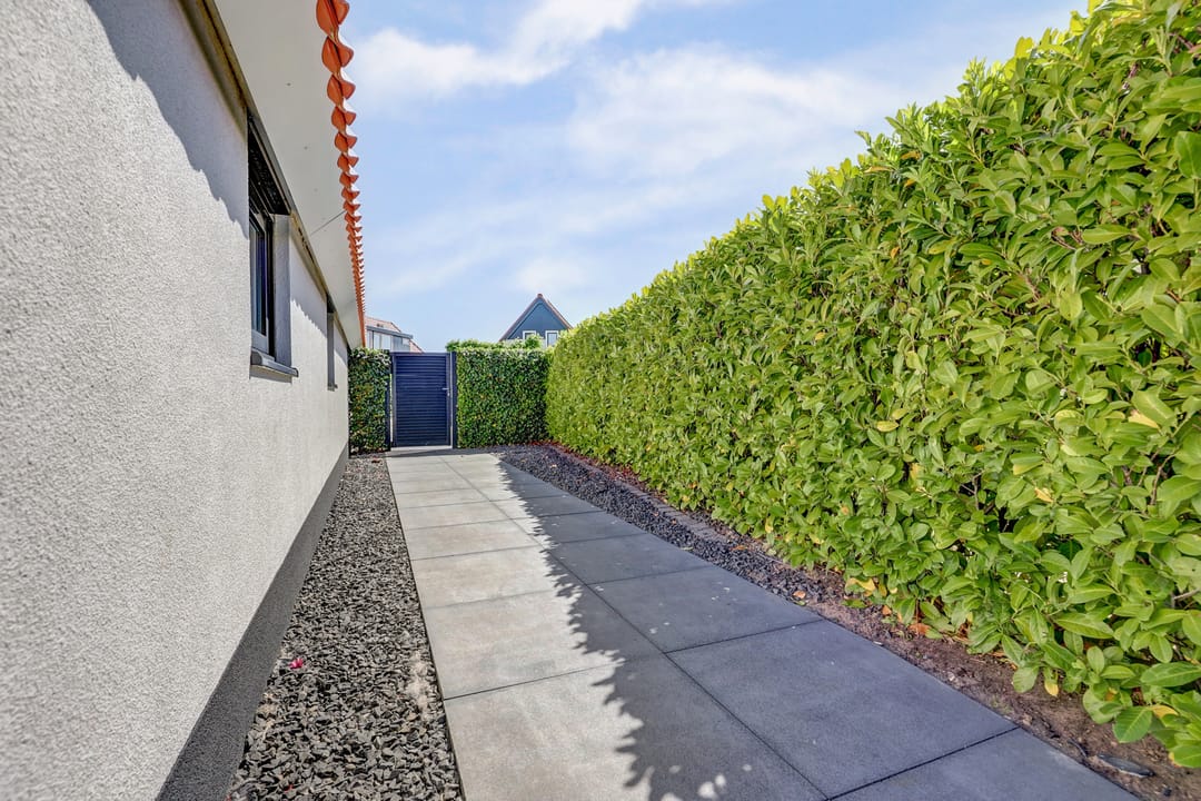 Photo 37 of Meerkoet 32