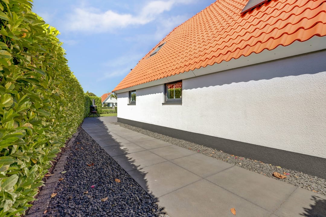 Photo 38 of Meerkoet 32