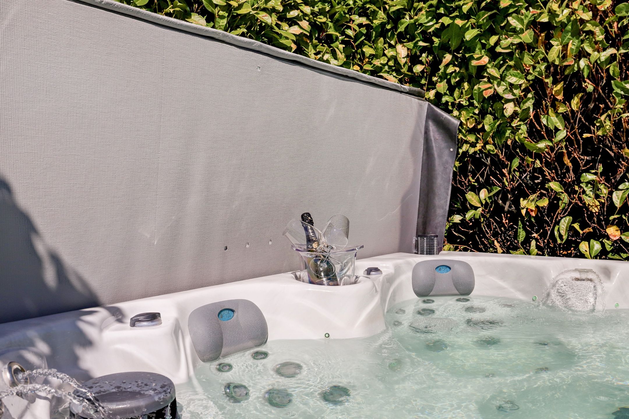 Photo 42 of Meerkoet 32