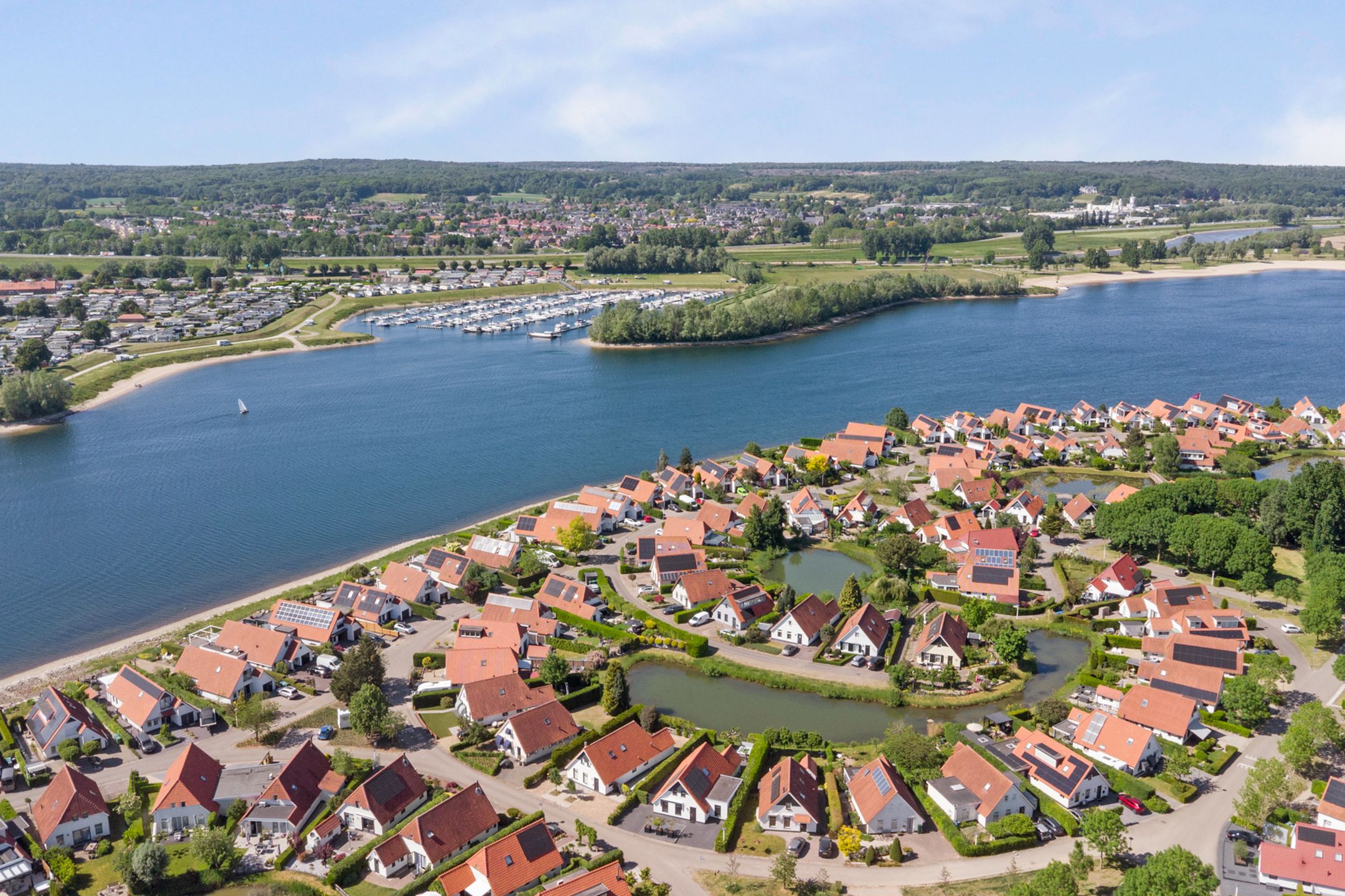 Photo 48 of Meerkoet 32