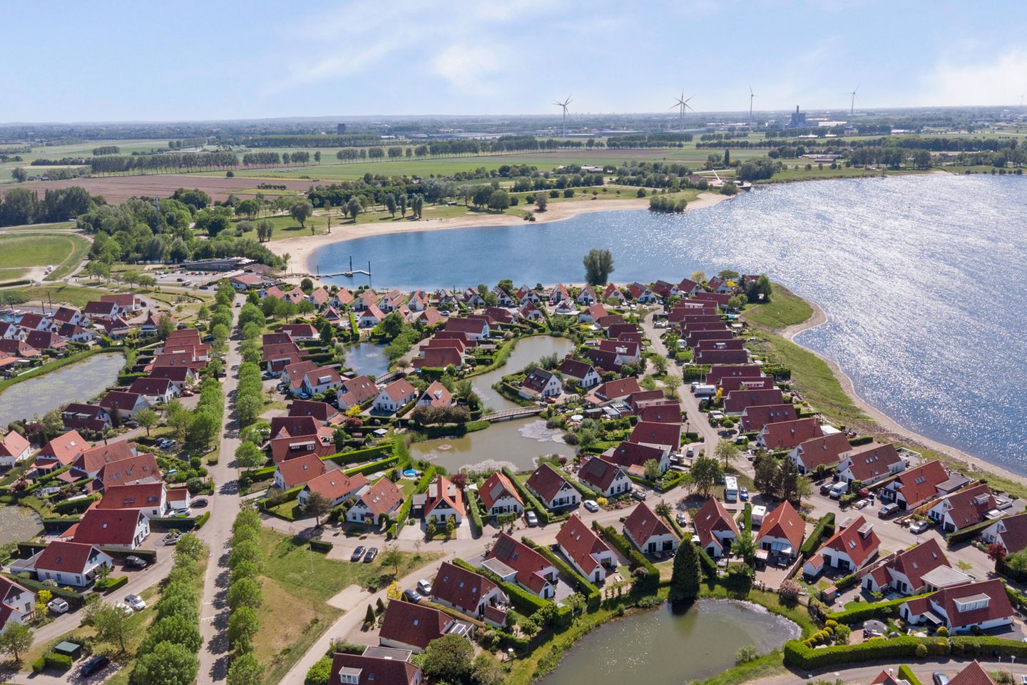 Photo 50 of Meerkoet 32