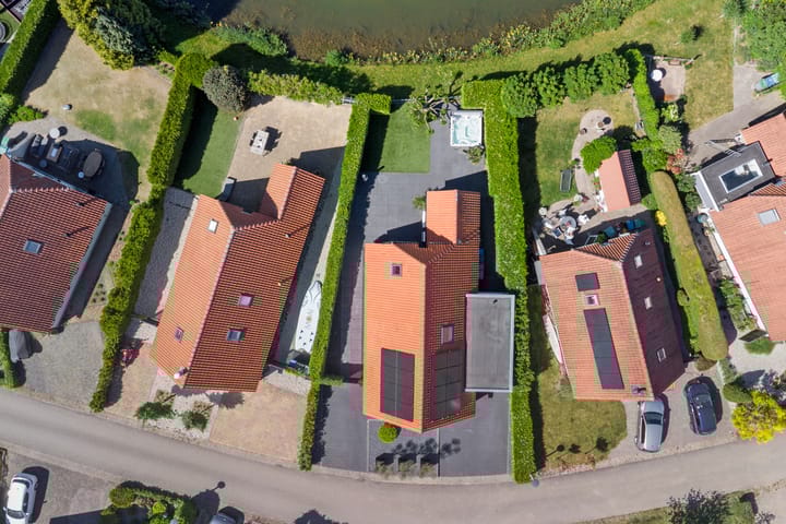 Foto 52 van Meerkoet 32