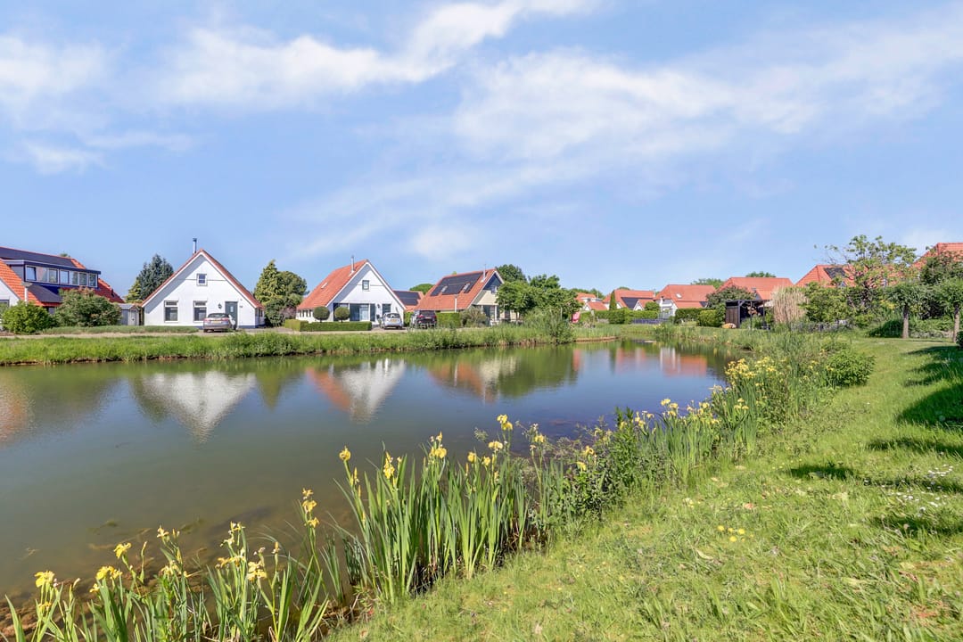 Photo 53 of Meerkoet 32