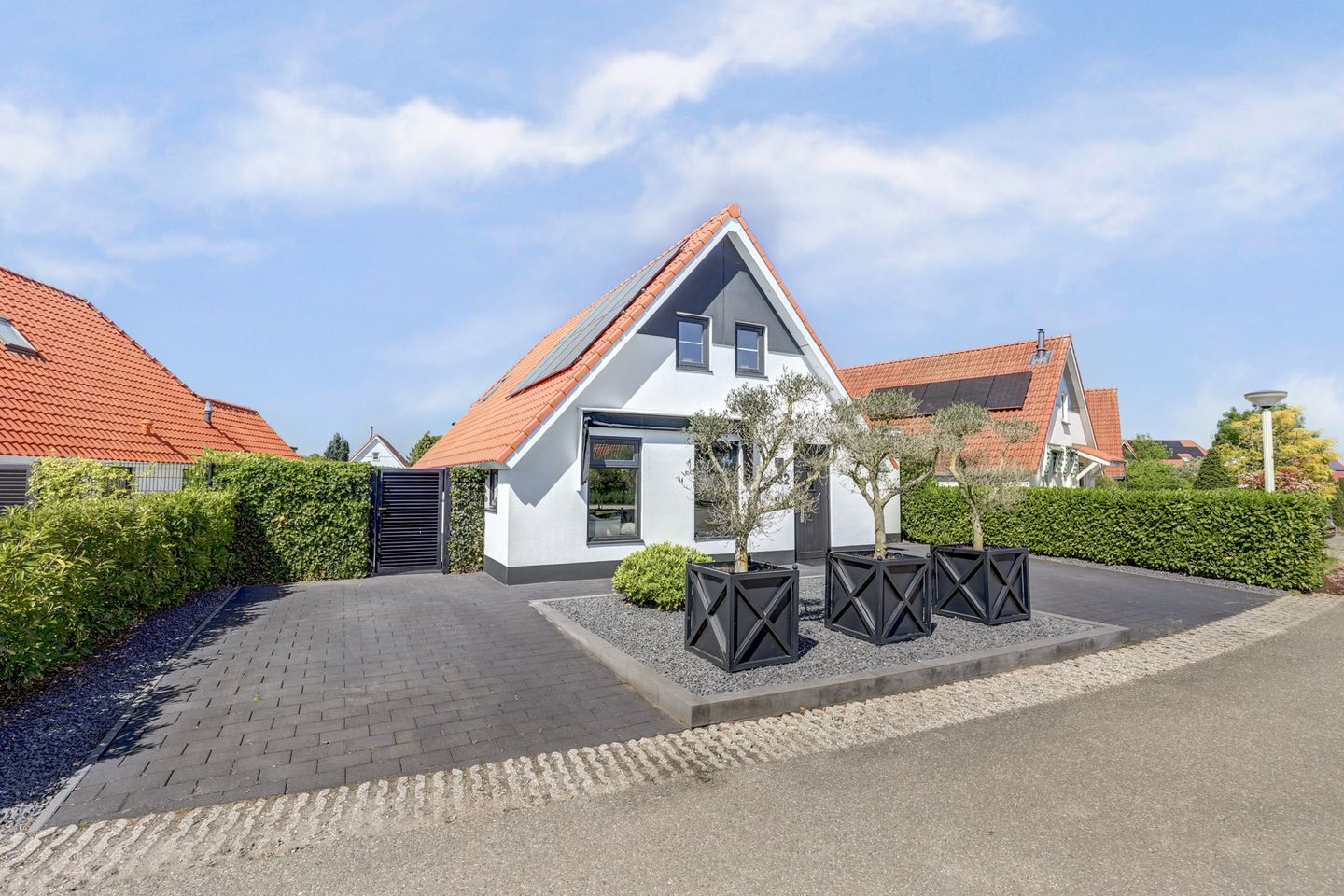 Photo 55 of Meerkoet 32