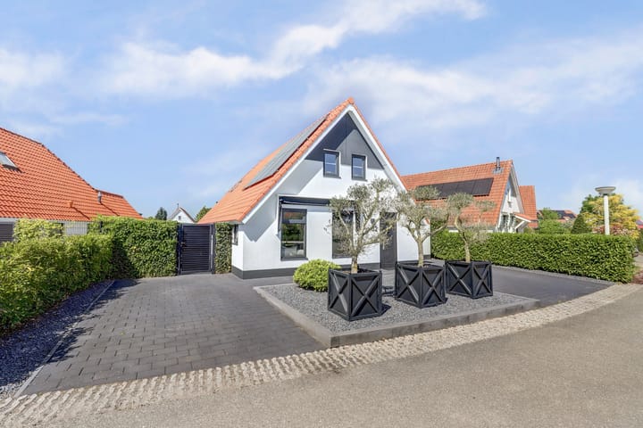 Foto 55 van Meerkoet 32