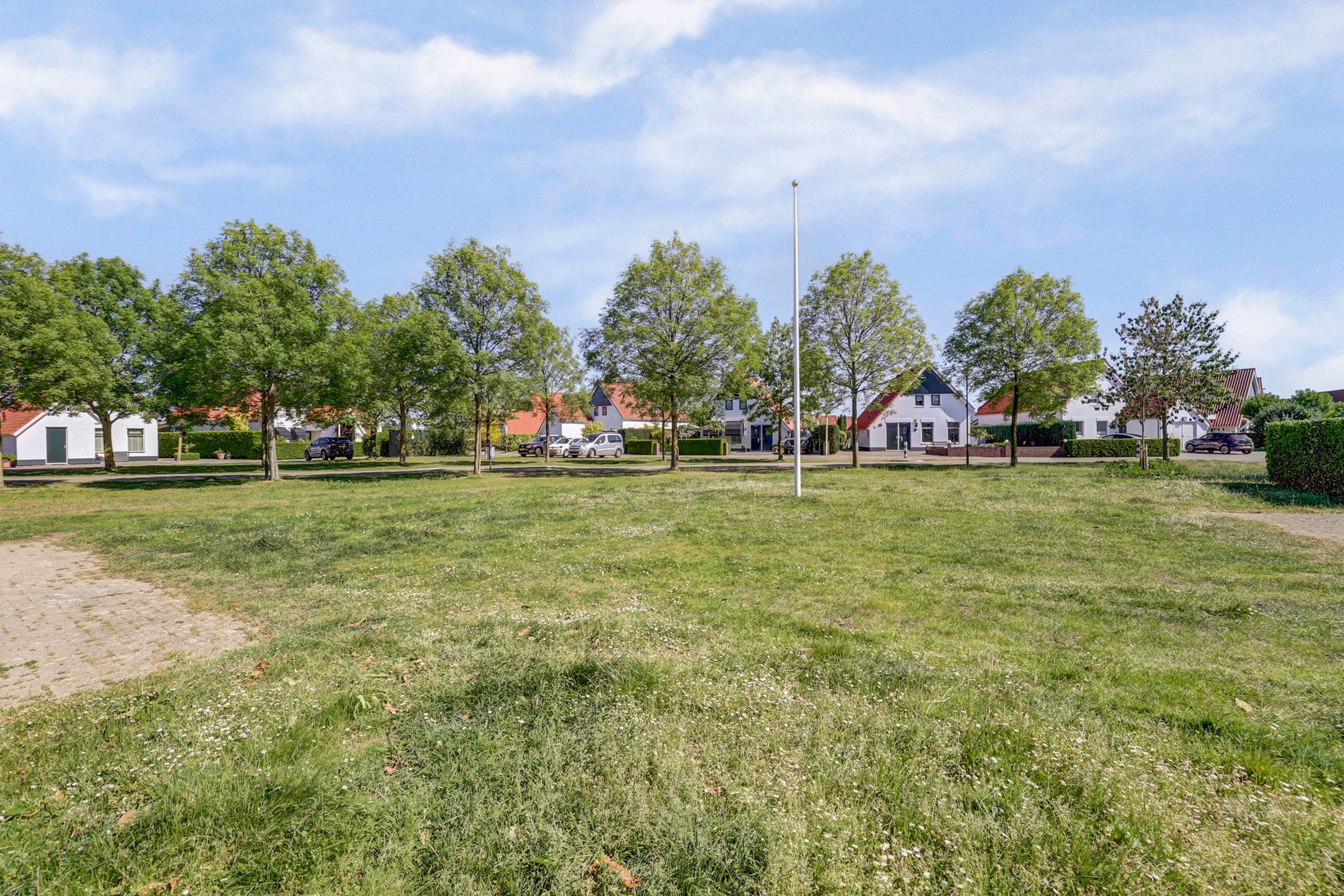 Photo 57 of Meerkoet 32