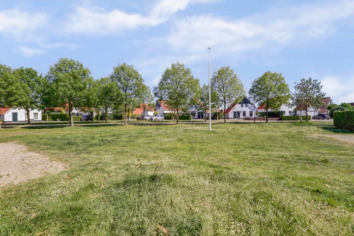 Foto 57 van Meerkoet 32