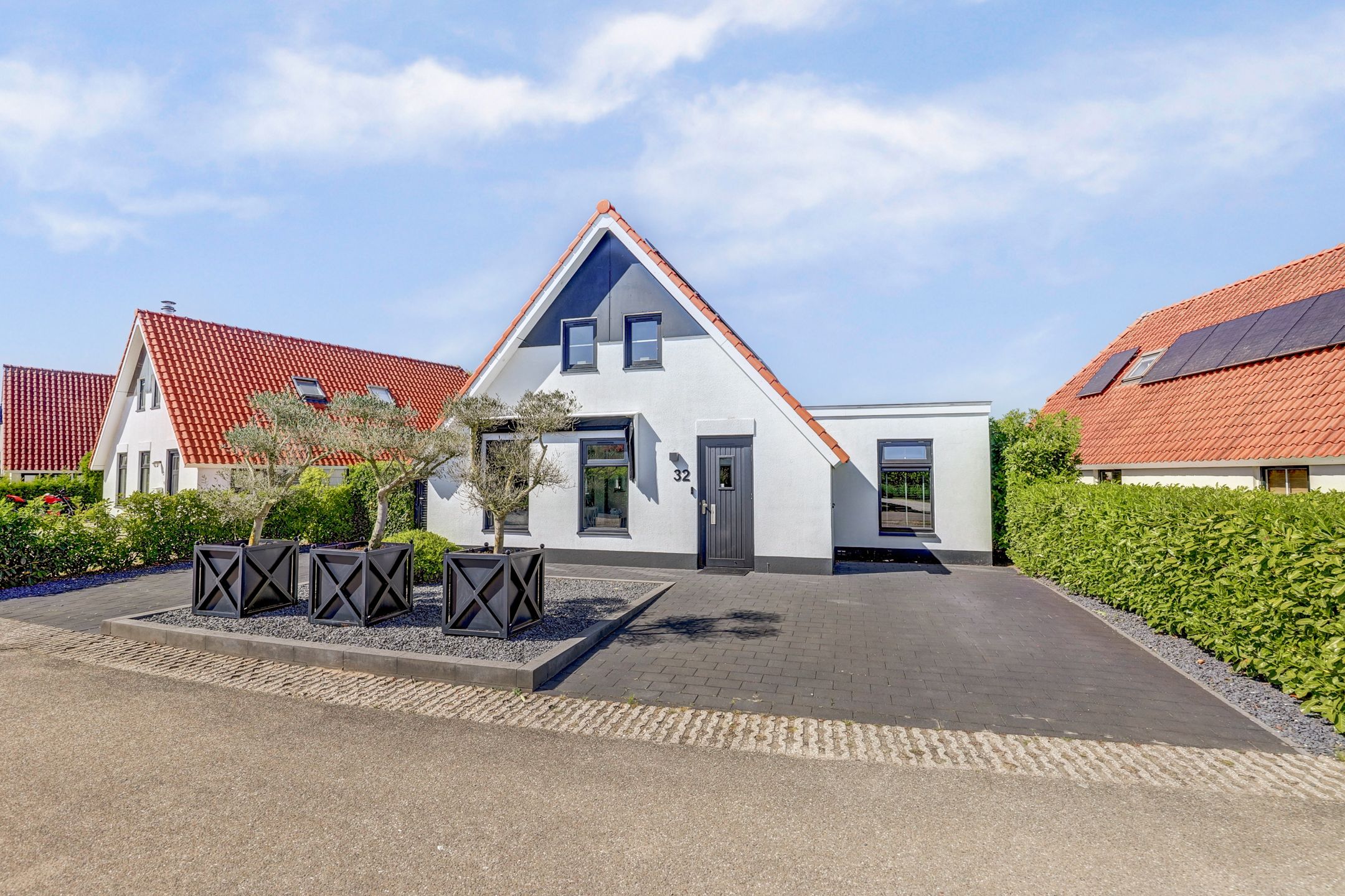 Photo 60 of Meerkoet 32