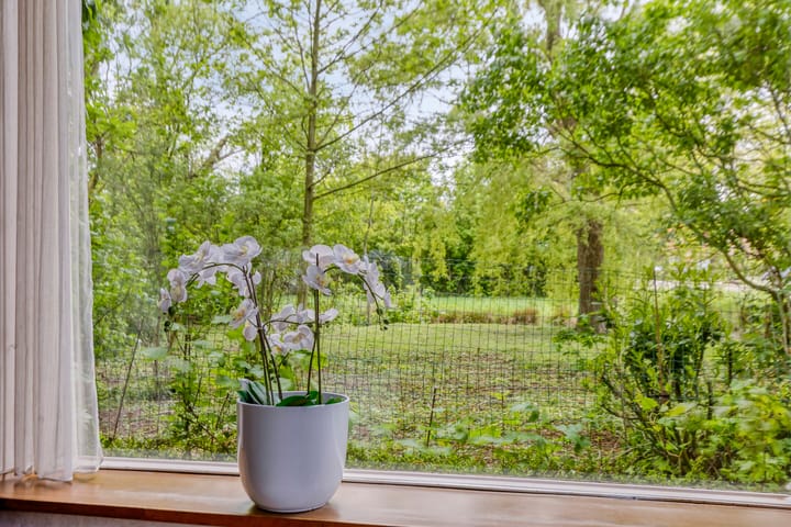 Foto 10 van Hoofdweg 35