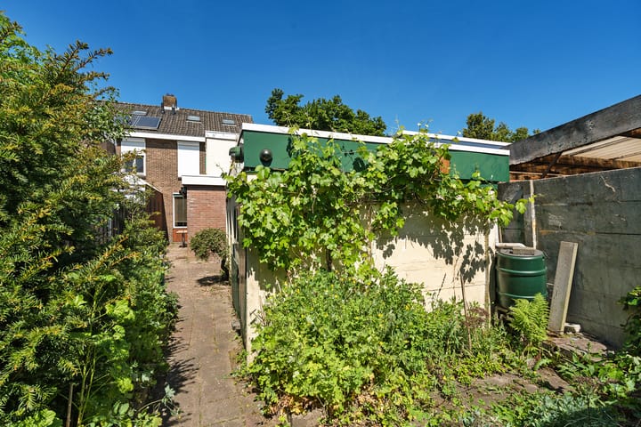 Photo 34 of Johan van Reesstraat 1