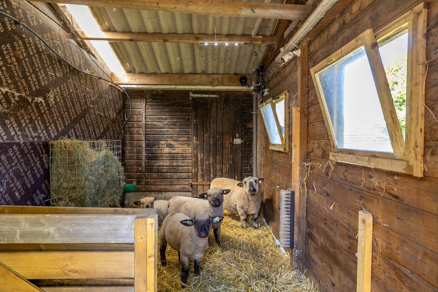 Foto 35 van Schoolweg 11