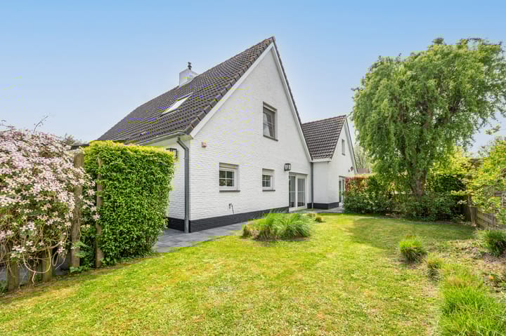 Photo 3 of Noordland 8