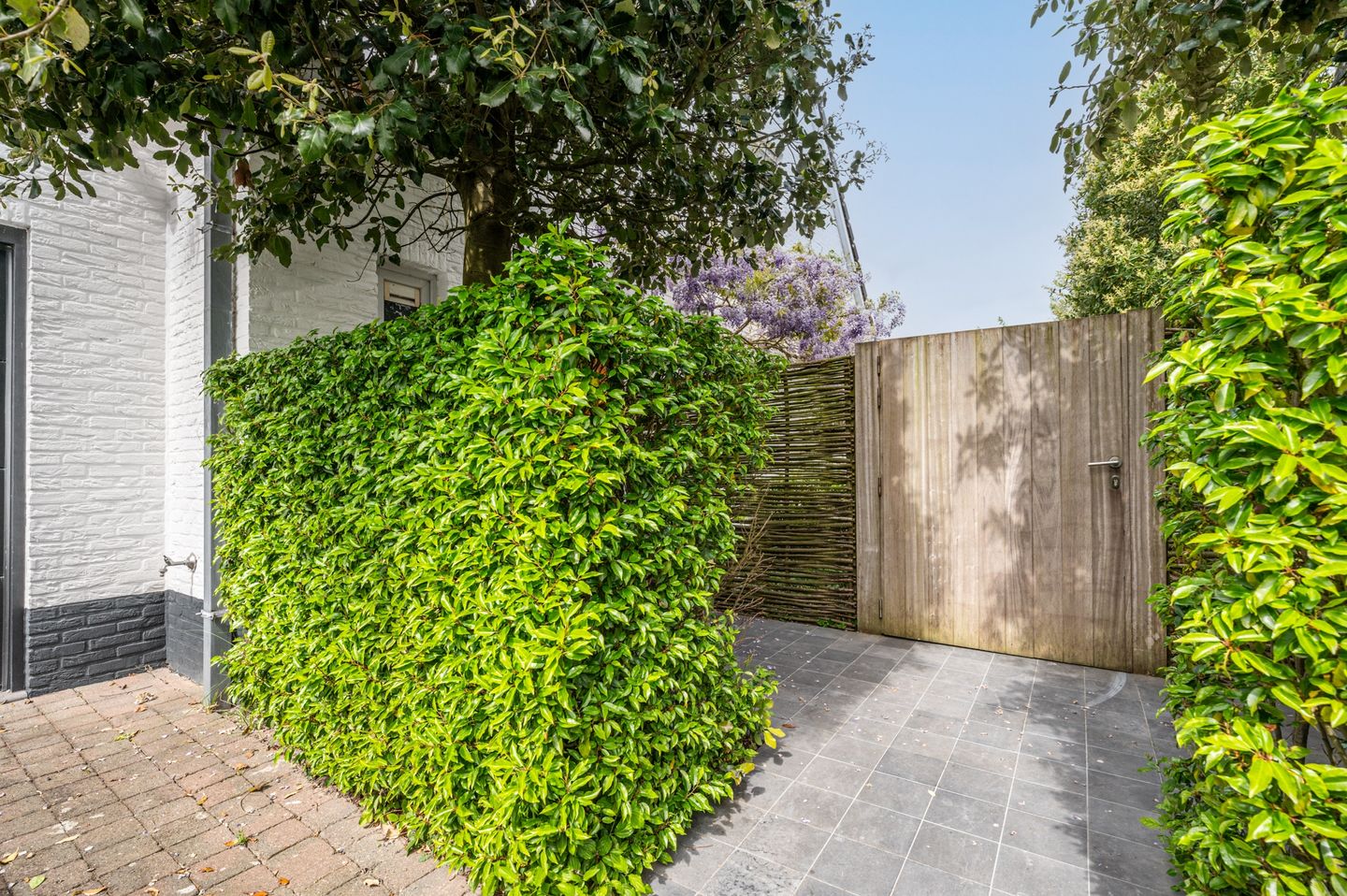 Foto 5 van Noordland 8