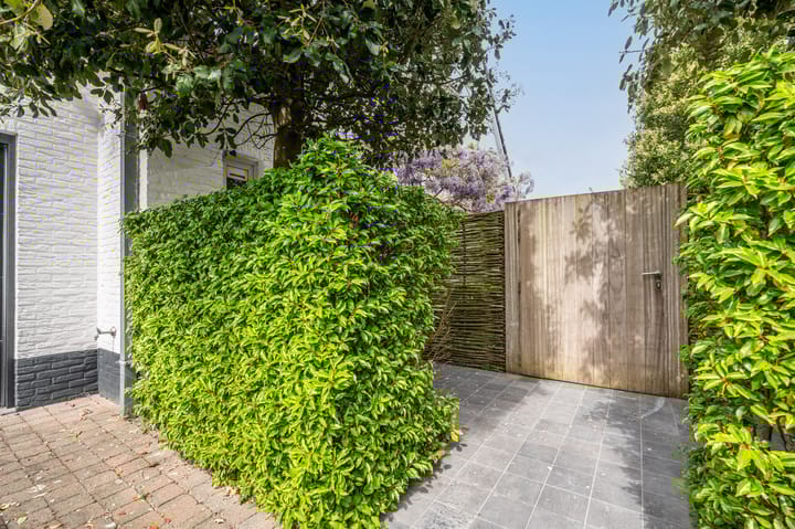 Photo 5 of Noordland 8