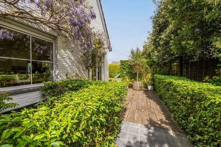 Photo 52 of Noordland 8