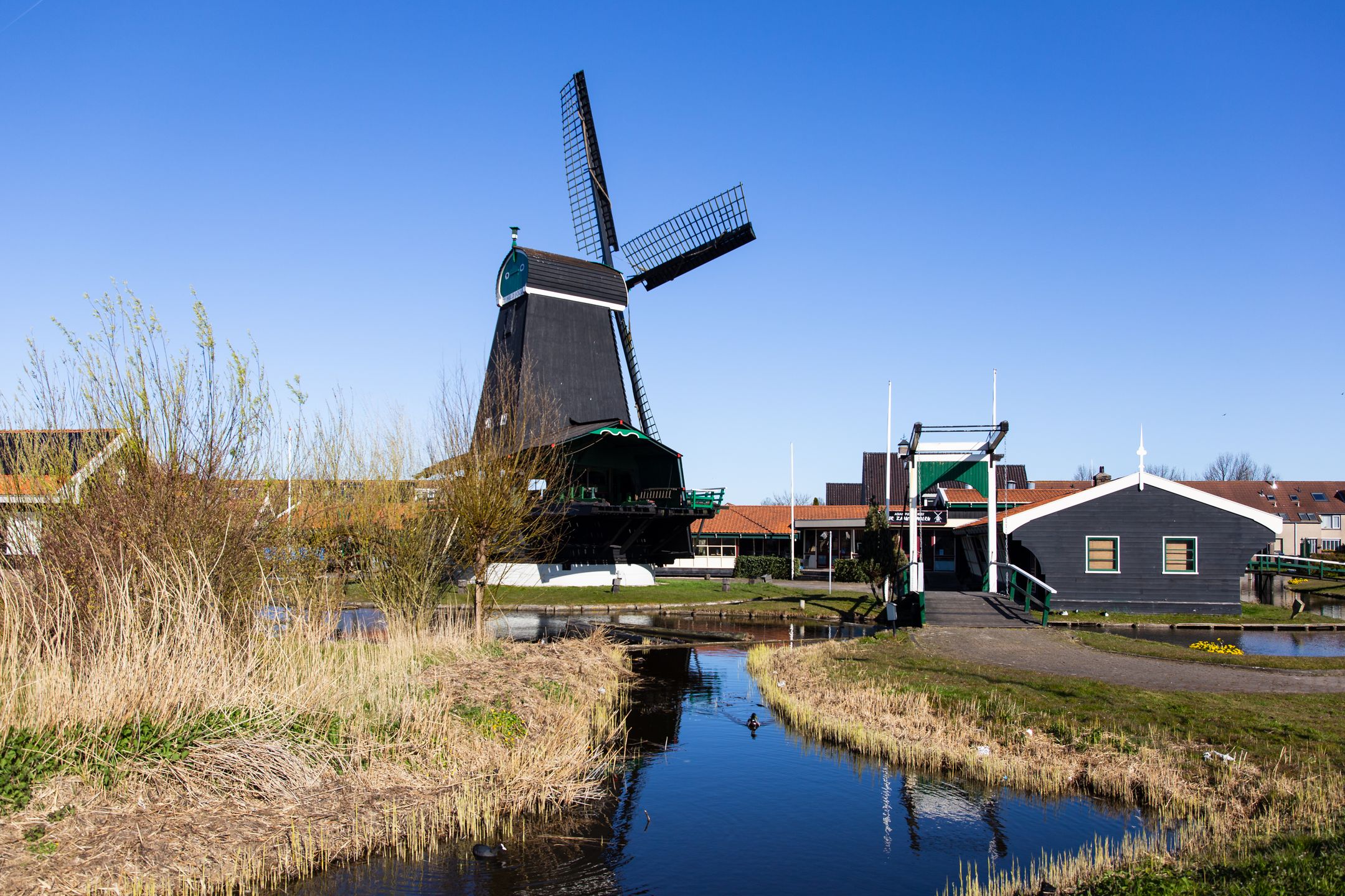 Foto 27 van Mahoniehout 390