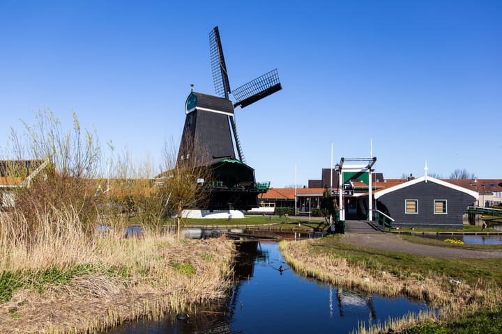 Foto 27 van Mahoniehout 390