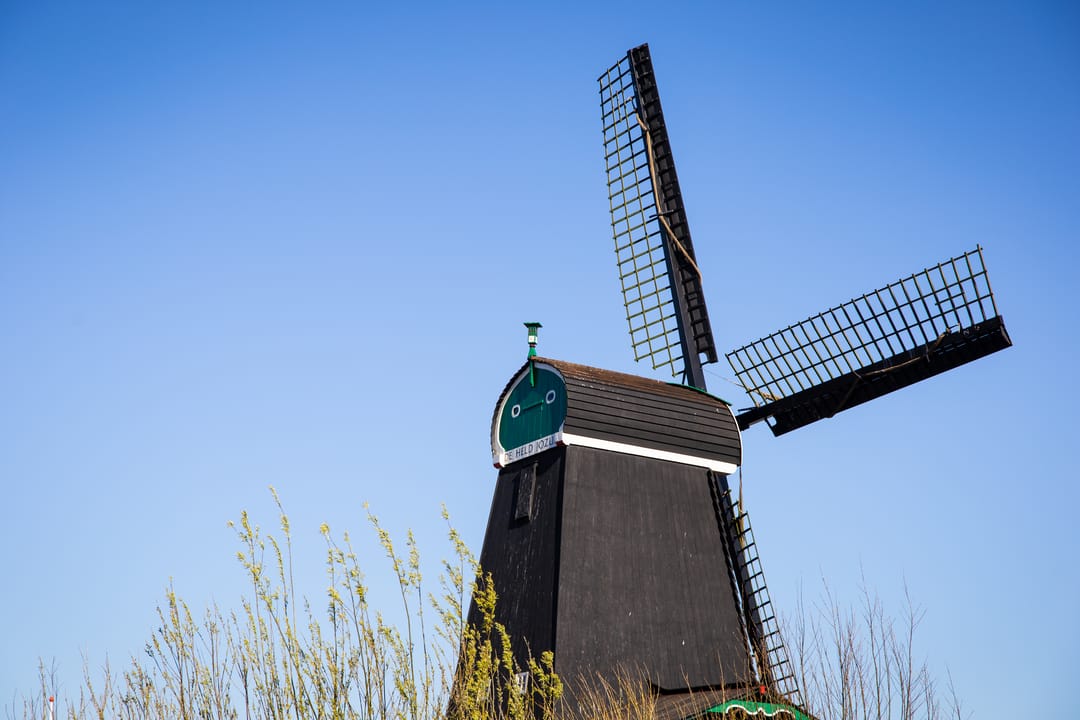 Foto 28 van Mahoniehout 390