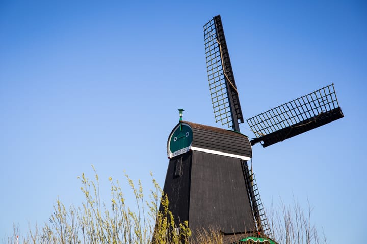 Foto 28 van Mahoniehout 390