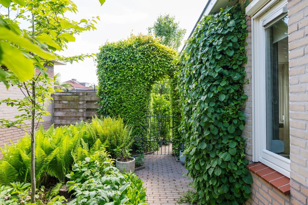 Foto 41 van Donaudal 79