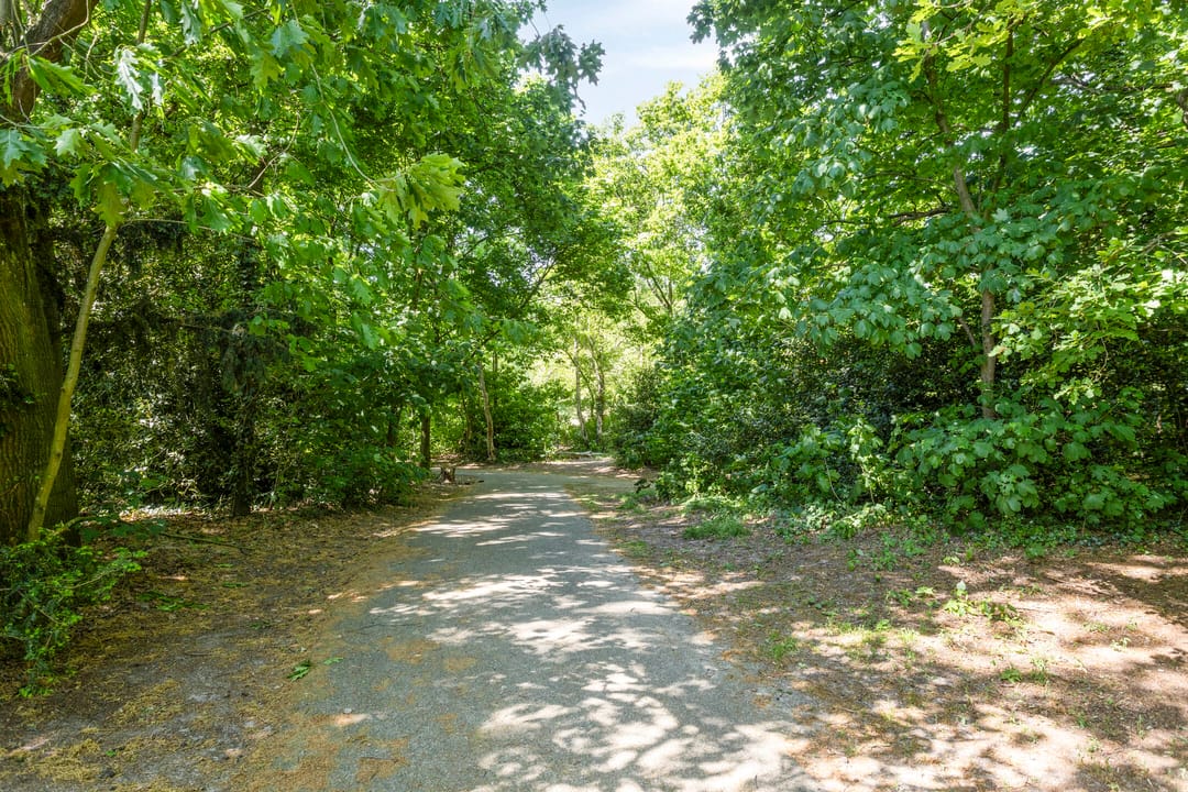 Photo 56 of Sint Josephstraat 9