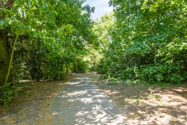 Foto 56 van Sint Josephstraat 9